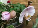 Filename=IMG_967579-158.jpg
Filesize=42KiB
Dimensions=640x480
Date added=Feb 17, 2020 IMG_967579-158.jpg
