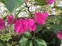 Filename=normal_2016-07-242016-07-2428129~0.jpg
Filesize=108KiB
Dimensions=400x300
Date added=Feb 17, 2020 normal_2016-07-242016-07-2428129~0.jpg