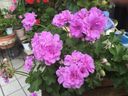 Filename=normal_2016-07-242016-07-24_-_kopi~0.jpg
Filesize=111KiB
Dimensions=400x300
Date added=Feb 17, 2020 normal_2016-07-242016-07-24_-_kopi~0.jpg