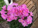 Filename=normal_2016-08-112016-08-1128129~0.jpg
Filesize=117KiB
Dimensions=400x300
Date added=Feb 17, 2020 normal_2016-08-112016-08-1128129~0.jpg