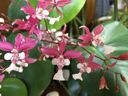 Filename=normal_2017-03-042017-03-0428229~0.jpg
Filesize=96KiB
Dimensions=400x300
Date added=Feb 17, 2020 normal_2017-03-042017-03-0428229~0.jpg
