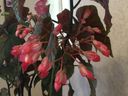 Filename=normal_2017-06-012017-06-01~0.jpg
Filesize=95KiB
Dimensions=400x300
Date added=Feb 17, 2020 normal_2017-06-012017-06-01~0.jpg