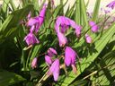 Filename=normal_2017-06-042017-06-04282429~0.jpg
Filesize=118KiB
Dimensions=400x300
Date added=Feb 17, 2020 normal_2017-06-042017-06-04282429~0.jpg