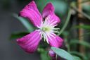 Filename=normal_IMG_4099~0.JPG
Filesize=71KiB
Dimensions=400x266
Date added=Feb 17, 2020 normal_IMG_4099~0.JPG