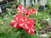 Filename=thumb_2016-10-232016-10-2328329~0.jpg
Filesize=11KiB
Dimensions=100x75
Date added=Feb 17, 2020 thumb_2016-10-232016-10-2328329~0.jpg