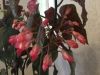 Filename=thumb_2017-06-012017-06-01~0.jpg
Filesize=10KiB
Dimensions=100x75
Date added=Feb 17, 2020 thumb_2017-06-012017-06-01~0.jpg