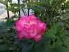 Filename=thumb_2017-06-032017-06-03281129~0.jpg
Filesize=10KiB
Dimensions=100x75
Date added=Feb 17, 2020 thumb_2017-06-032017-06-03281129~0.jpg