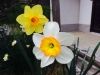 Filename=thumb_IMG_078928229~0.JPG
Filesize=9KiB
Dimensions=100x75
Date added=Feb 17, 2020 thumb_IMG_078928229~0.JPG