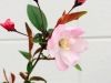 Filename=thumb_IMG_079028229~0.JPG
Filesize=8KiB
Dimensions=100x75
Date added=Feb 17, 2020 thumb_IMG_079028229~0.JPG
