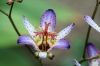 Filename=thumb_IMG_4158~0.JPG
Filesize=8KiB
Dimensions=100x66
Date added=Feb 17, 2020 thumb_IMG_4158~0.JPG