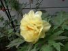 Filename=thumb_P5060210~0.JPG
Filesize=2KiB
Dimensions=100x75
Date added=Feb 17, 2020 thumb_P5060210~0.JPG