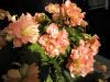 Filename=thumb_P5150116~0.JPG
Filesize=3KiB
Dimensions=100x75
Date added=Feb 17, 2020 thumb_P5150116~0.JPG