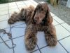 Filename=thumb_P6050236~0.JPG
Filesize=3KiB
Dimensions=100x75
Date added=Feb 17, 2020 thumb_P6050236~0.JPG