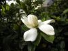 Filename=thumb_P6250299~0.JPG
Filesize=3KiB
Dimensions=100x75
Date added=Feb 17, 2020 thumb_P6250299~0.JPG