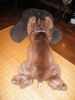 Filename=thumb_P6300337~0.JPG
Filesize=2KiB
Dimensions=75x100
Date added=Feb 17, 2020 thumb_P6300337~0.JPG