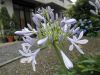 Filename=thumb_P7050016~0.JPG
Filesize=3KiB
Dimensions=100x75
Date added=Feb 17, 2020 thumb_P7050016~0.JPG