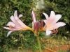 Filename=thumb_P8170100~0.JPG
Filesize=11KiB
Dimensions=100x75
Date added=Feb 17, 2020 thumb_P8170100~0.JPG