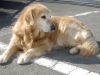 Filename=thumb_SANY0594~0.jpg
Filesize=2KiB
Dimensions=100x75
Date added=Feb 17, 2020 thumb_SANY0594~0.jpg