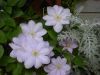 Filename=thumb_TESSEN2001-2~0.jpg
Filesize=3KiB
Dimensions=100x75
Date added=Feb 17, 2020 thumb_TESSEN2001-2~0.jpg