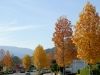 Filename=thumb_itiyouRi20Gao20.JPG
Filesize=9KiB
Dimensions=100x75
Date added=Feb 17, 2020 thumb_itiyouRi20Gao20.JPG