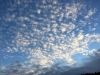 Filename=thumb_s_2016-10-01_014~0.JPG
Filesize=10KiB
Dimensions=100x75
Date added=Feb 17, 2020 thumb_s_2016-10-01_014~0.JPG