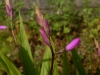ファイル名 : P5130053_(640x480)~0.jpg
ファイルサイズ : 213KB
ディメンション : 640x480
登録日 : 2014年 05月 13日 P5130053_(640x480)~0.jpg