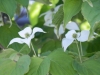 ファイル名 : P5280100(640).JPG
ファイルサイズ : 55KB
ディメンション : 640x480
登録日 : 2014年 06月 04日 P5280100(640).JPG