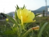 ファイル名 : P7300009.JPG
ファイルサイズ : 50KB
ディメンション : 640x480
登録日 : 2010年 07月 29日 P7300009.JPG